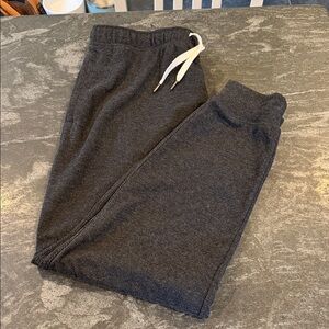 J. Crew Cozy Gray Jogger Pants NWOT